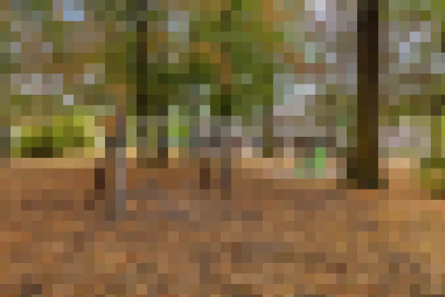 Deken van den Heuvelstraat 36 Gemert thumbnail 44