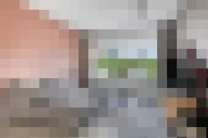 Deken van den Heuvelstraat 96 Gemert thumbnail 12