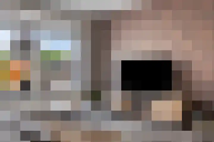 Deken van den Heuvelstraat 96 Gemert thumbnail 13