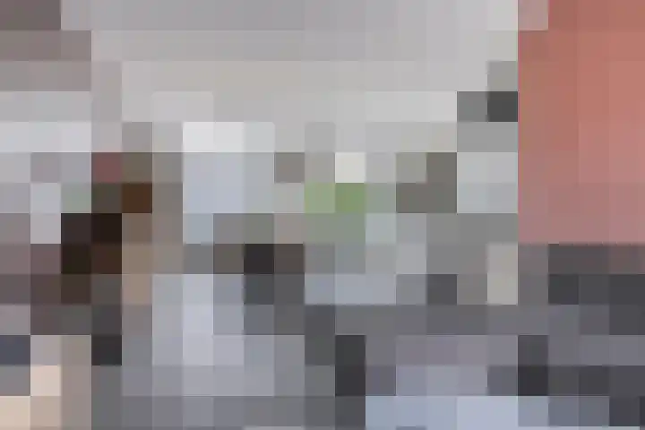 Deken van den Heuvelstraat 96 Gemert thumbnail 14