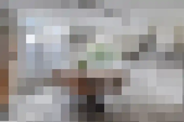 Deken van den Heuvelstraat 96 Gemert thumbnail 15