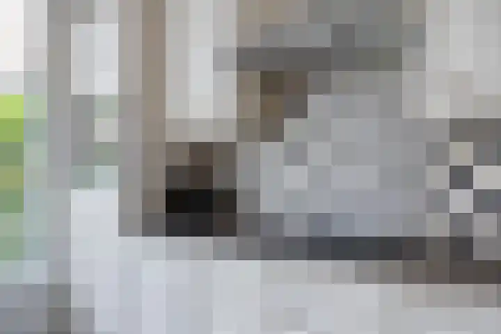 Deken van den Heuvelstraat 96 Gemert thumbnail 18