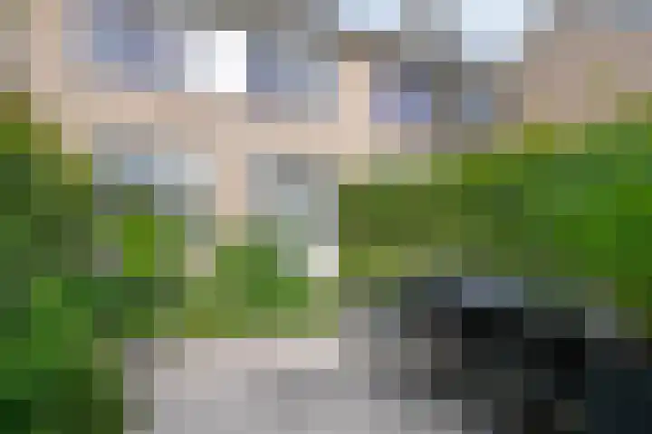 Deken van den Heuvelstraat 96 Gemert thumbnail 20
