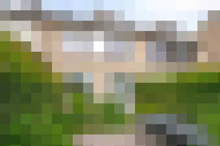 Deken van den Heuvelstraat 96 Gemert thumbnail 21