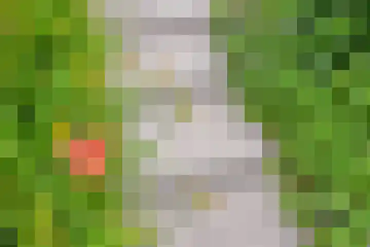 Deken van den Heuvelstraat 96 Gemert thumbnail 22