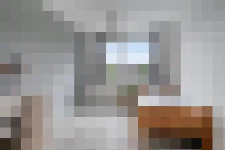 Deken van den Heuvelstraat 96 Gemert thumbnail 26