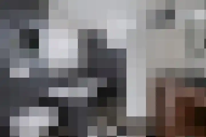 Deken van den Heuvelstraat 96 Gemert thumbnail 30