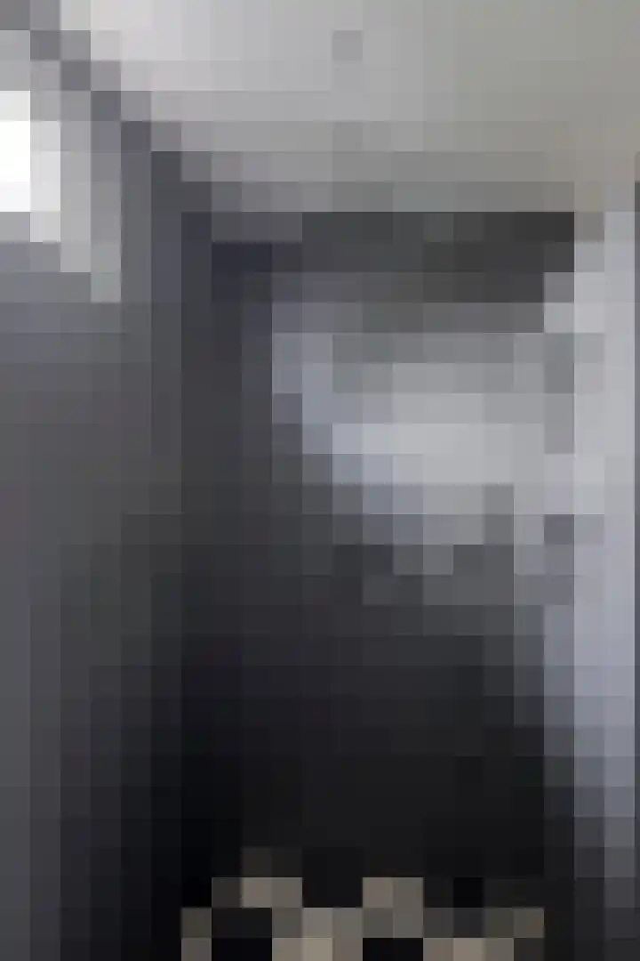 Deken van den Heuvelstraat 96 Gemert thumbnail 31