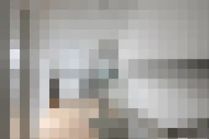 Deken van den Heuvelstraat 96 Gemert thumbnail 33