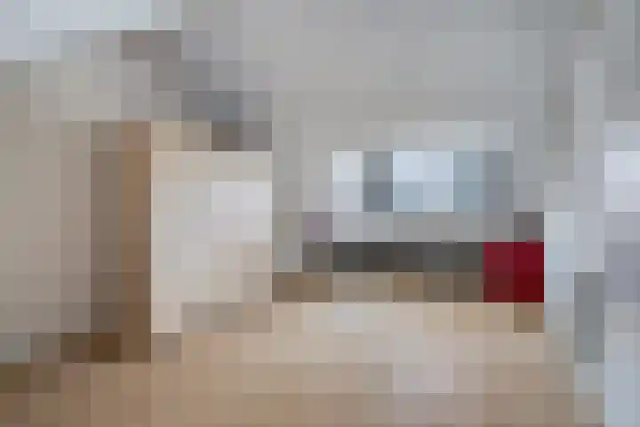 Deken van den Heuvelstraat 96 Gemert thumbnail 34