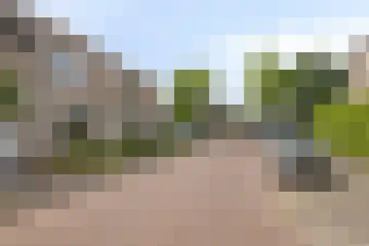 Deken van den Heuvelstraat 96 Gemert thumbnail 4