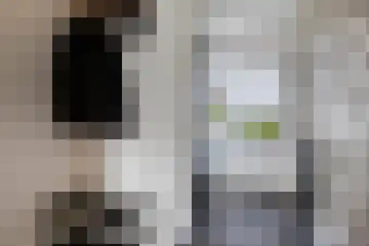 Deken van den Heuvelstraat 96 Gemert thumbnail 5