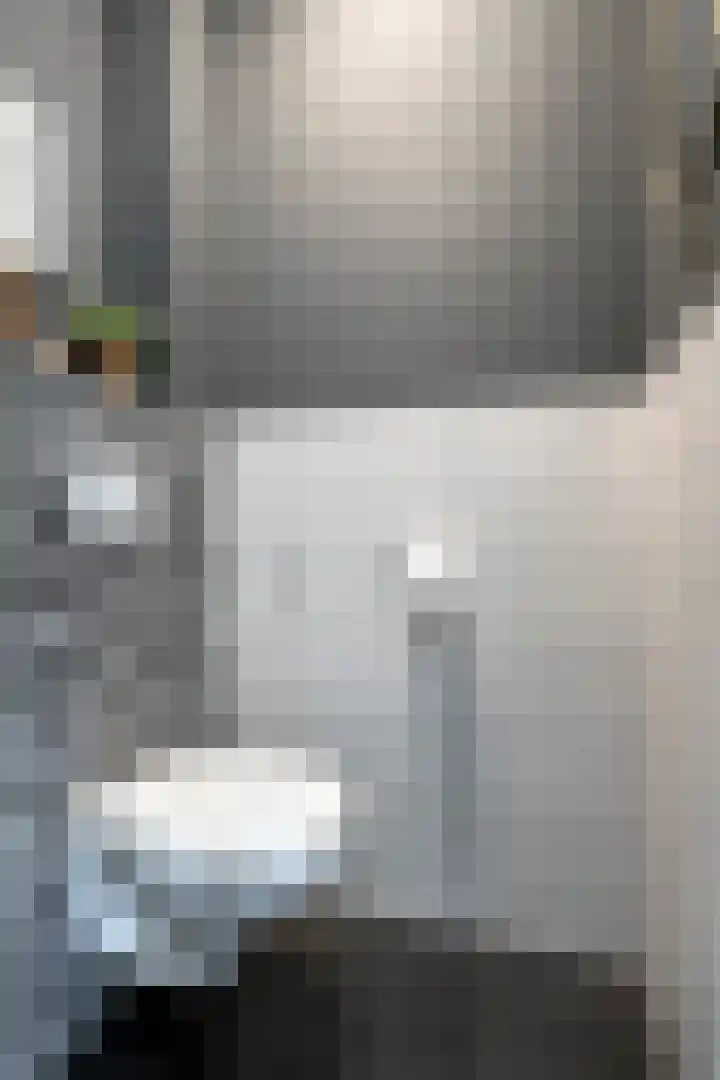 Deken van den Heuvelstraat 96 Gemert thumbnail 7