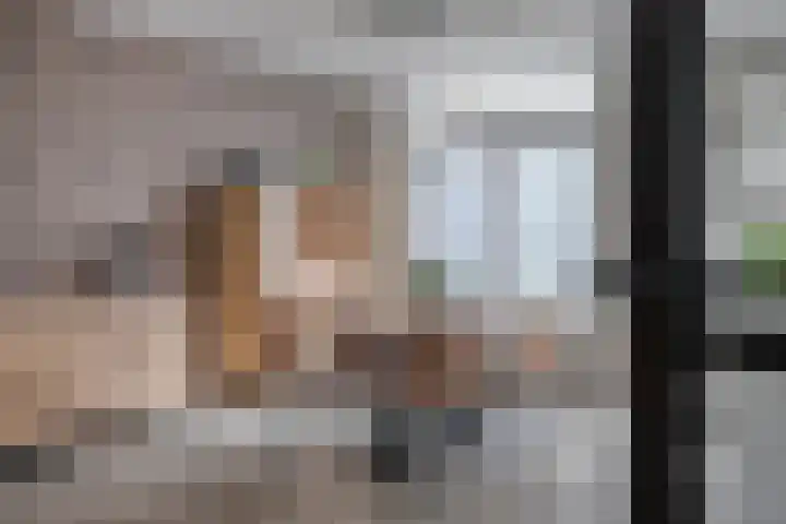 Deken van den Heuvelstraat 96 Gemert thumbnail 9