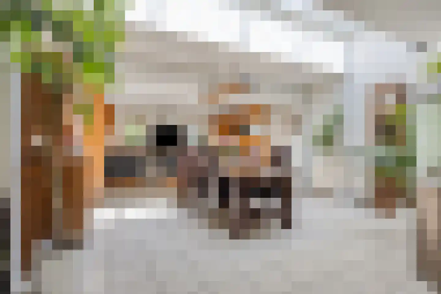 Deken van der Cammenweg 1 Heesch thumbnail 13