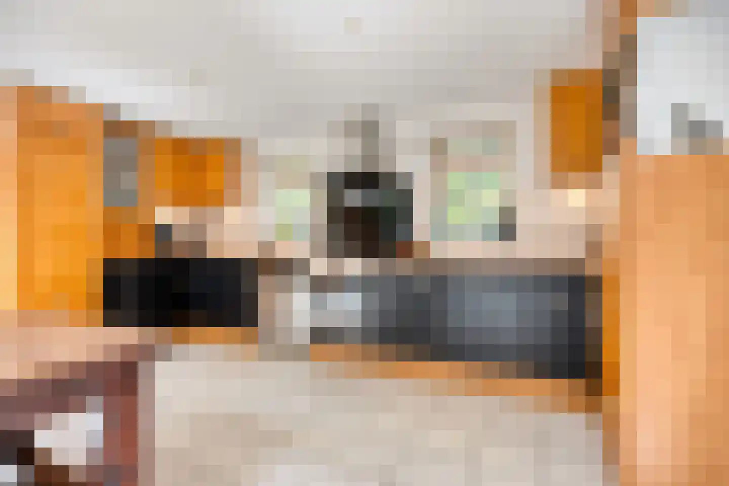 Deken van der Cammenweg 1 Heesch thumbnail 15