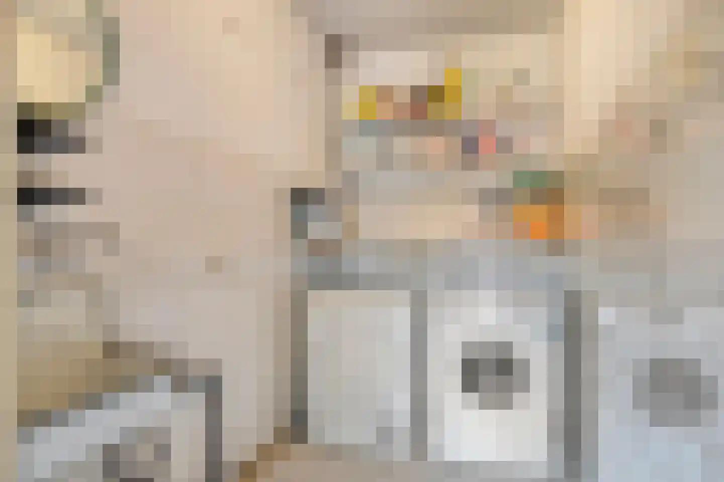 Deken van der Cammenweg 1 Heesch thumbnail 20