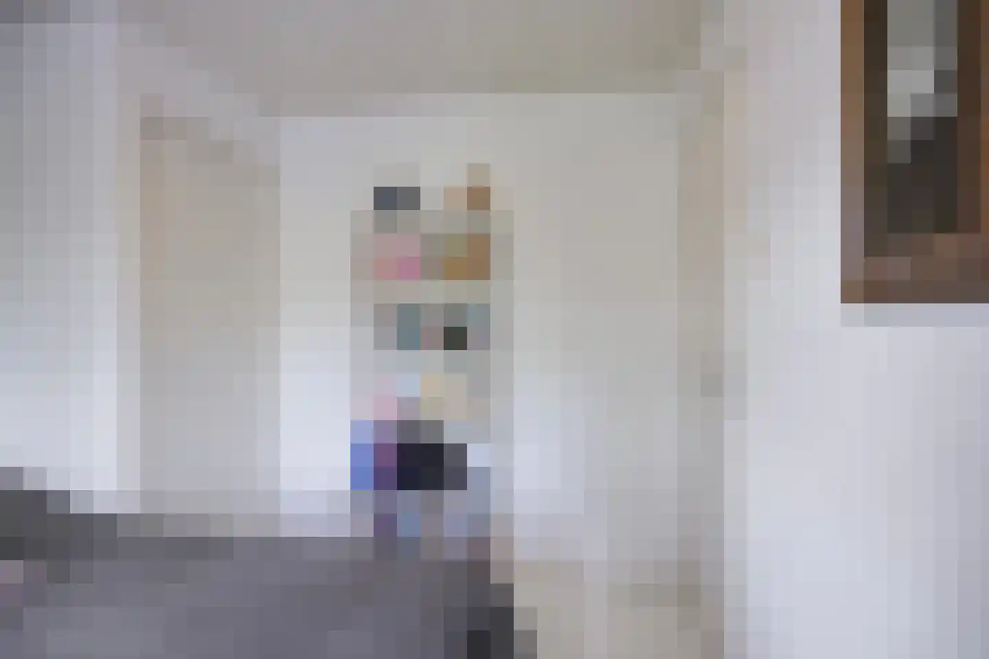 Deken van der Cammenweg 1 Heesch thumbnail 27