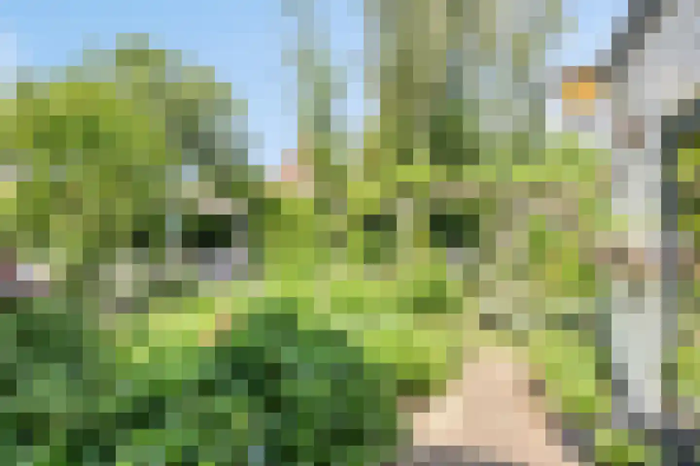 Deken van der Cammenweg 1 Heesch thumbnail 32