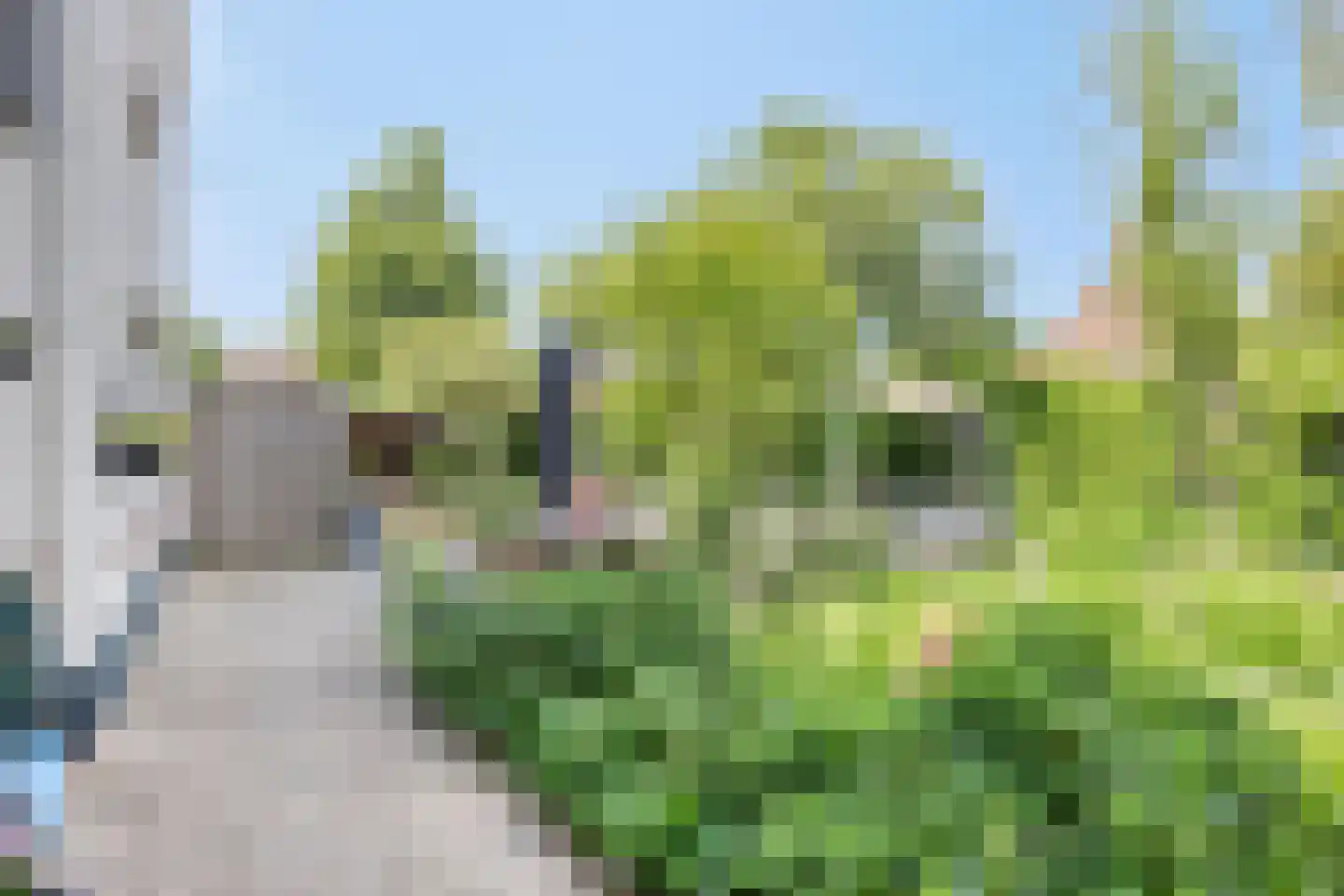 Deken van der Cammenweg 1 Heesch thumbnail 33