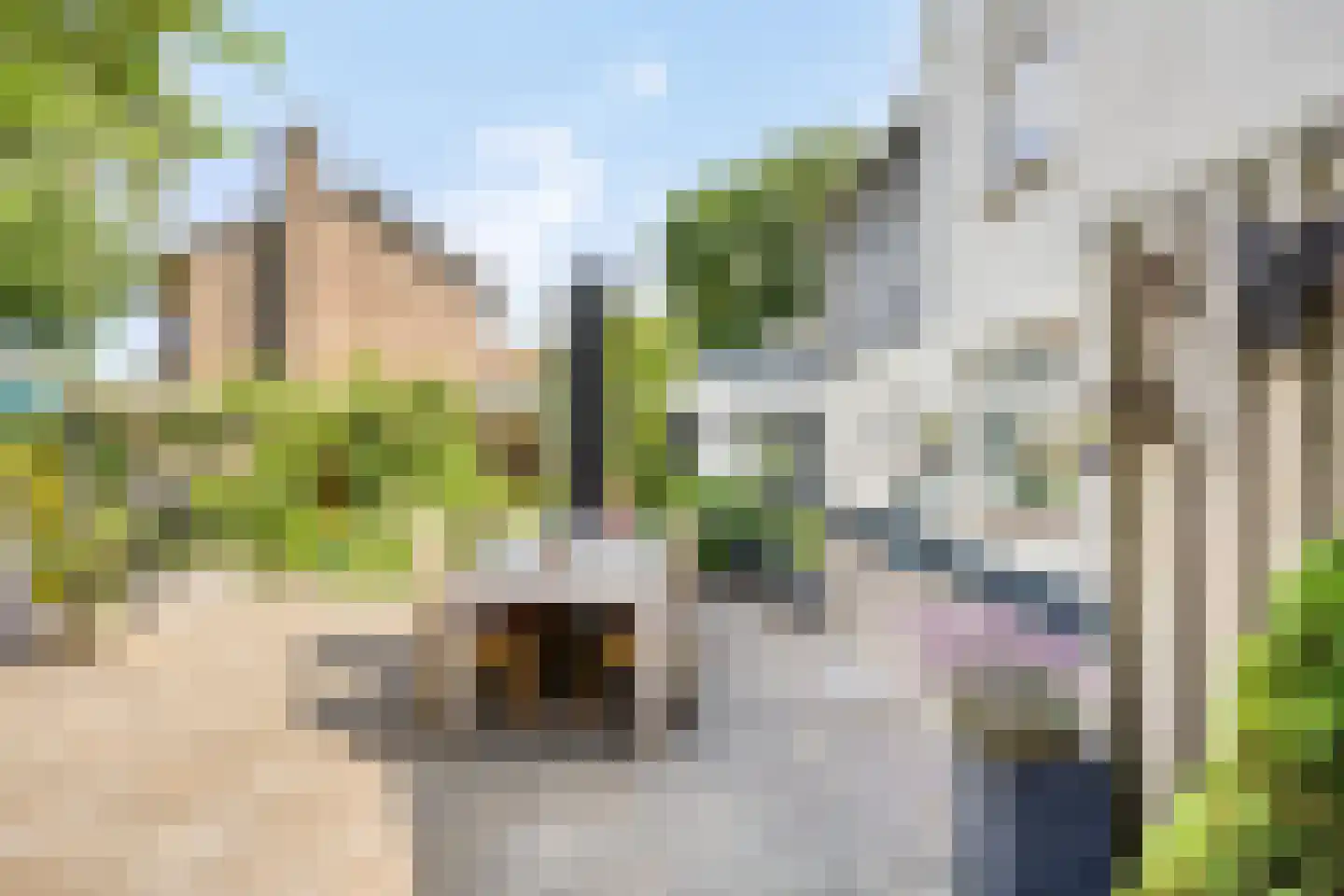 Deken van der Cammenweg 1 Heesch thumbnail 34