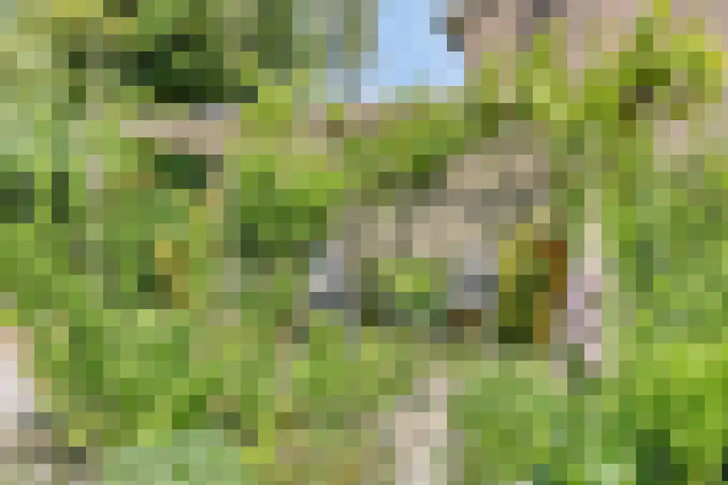 Deken van der Cammenweg 1 Heesch thumbnail 35