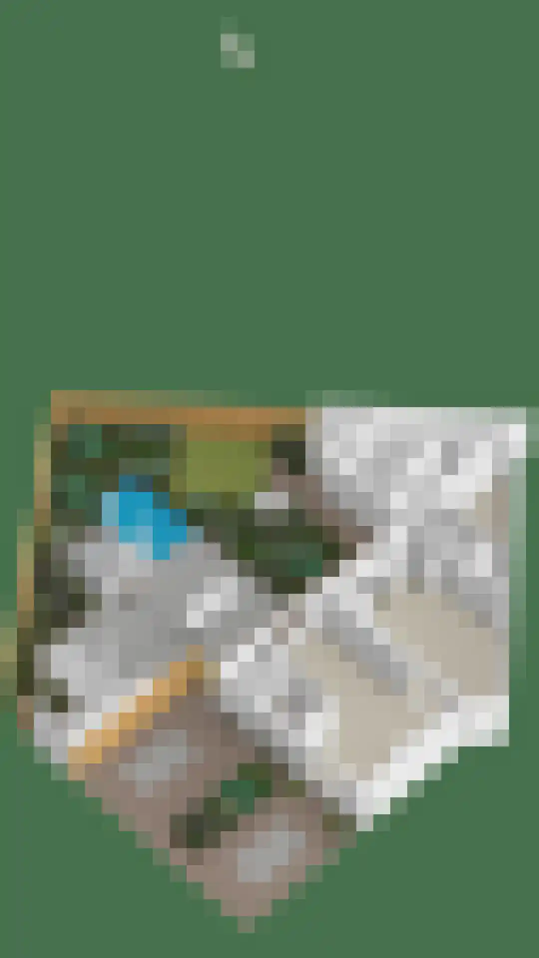 Deken van der Cammenweg 1 Heesch thumbnail 43
