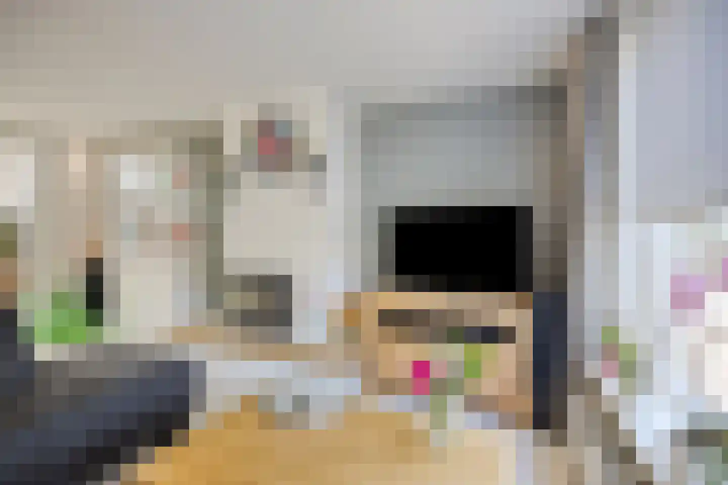 Deken van der Cammenweg 1 Heesch thumbnail 9