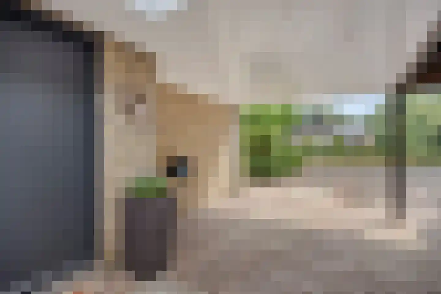 Deken van der Cammenweg 20 Heesch thumbnail 11