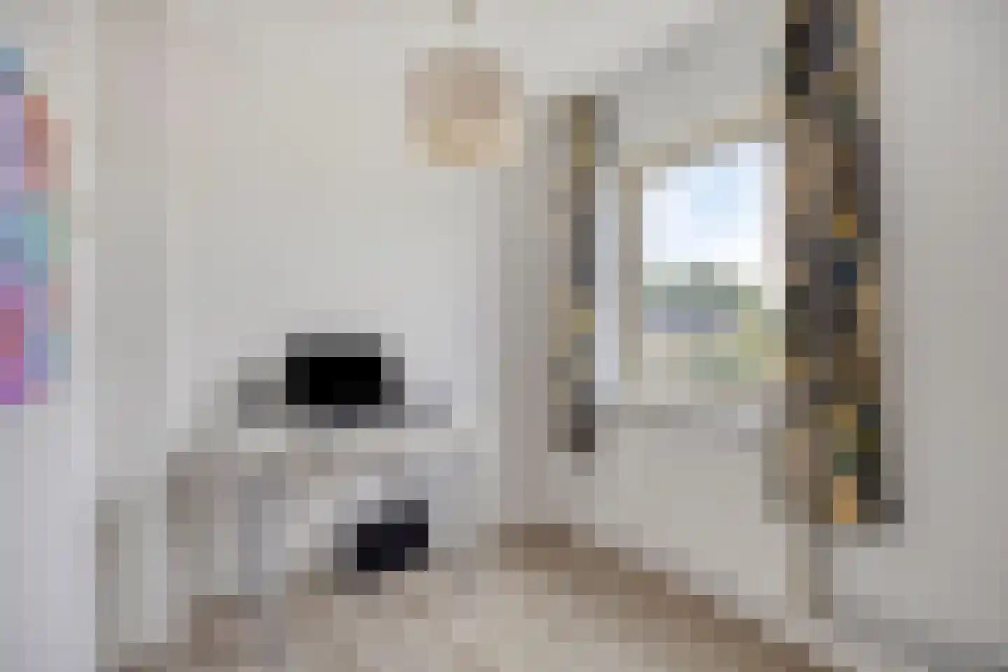 Deken van der Cammenweg 20 Heesch thumbnail 35