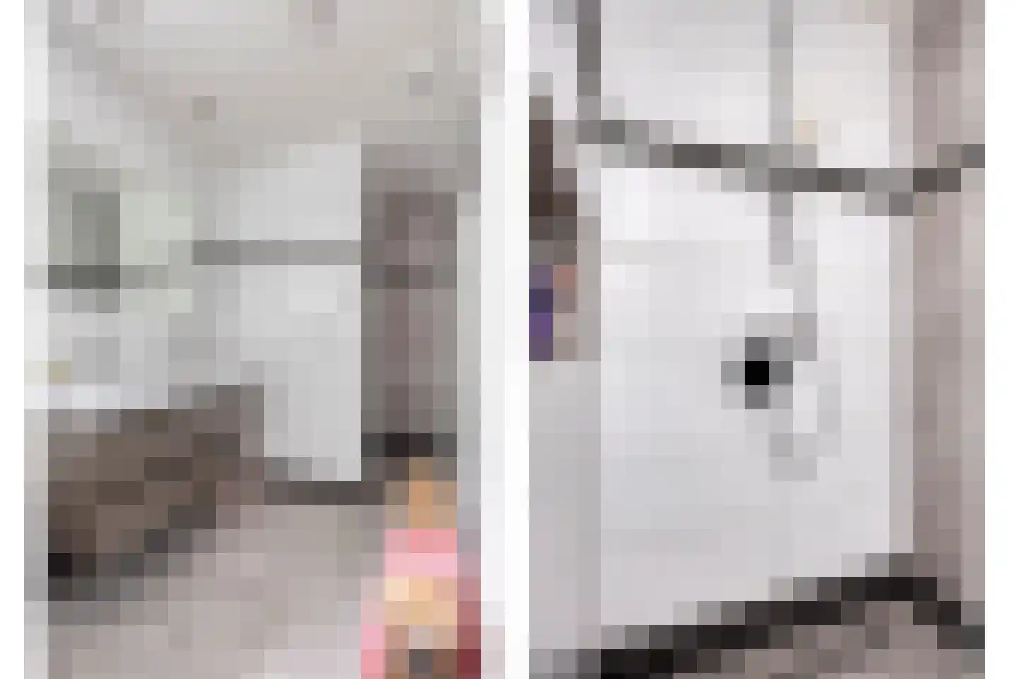 Deken van der Cammenweg 20 Heesch thumbnail 38