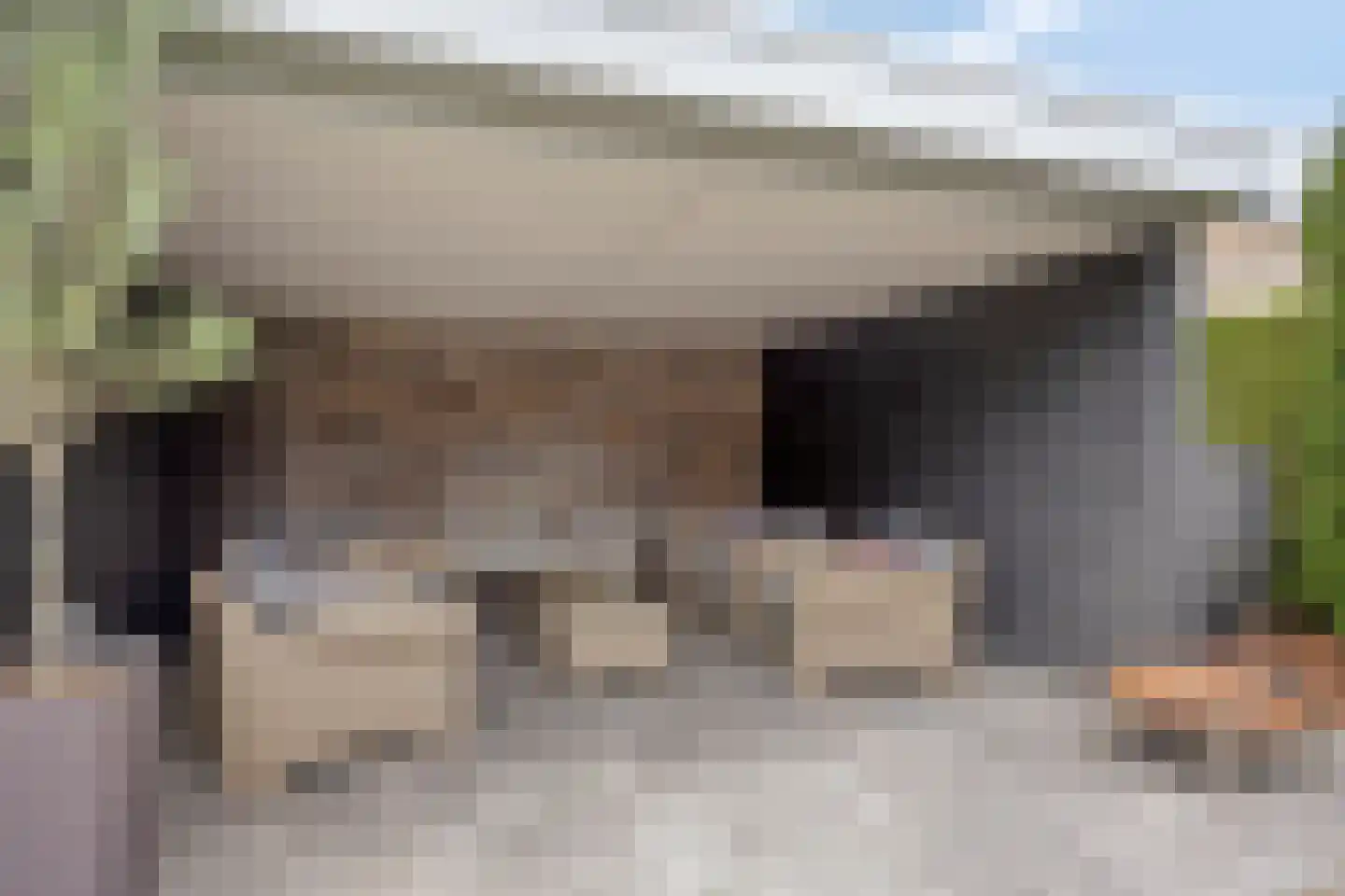 Deken van der Cammenweg 20 Heesch thumbnail 42