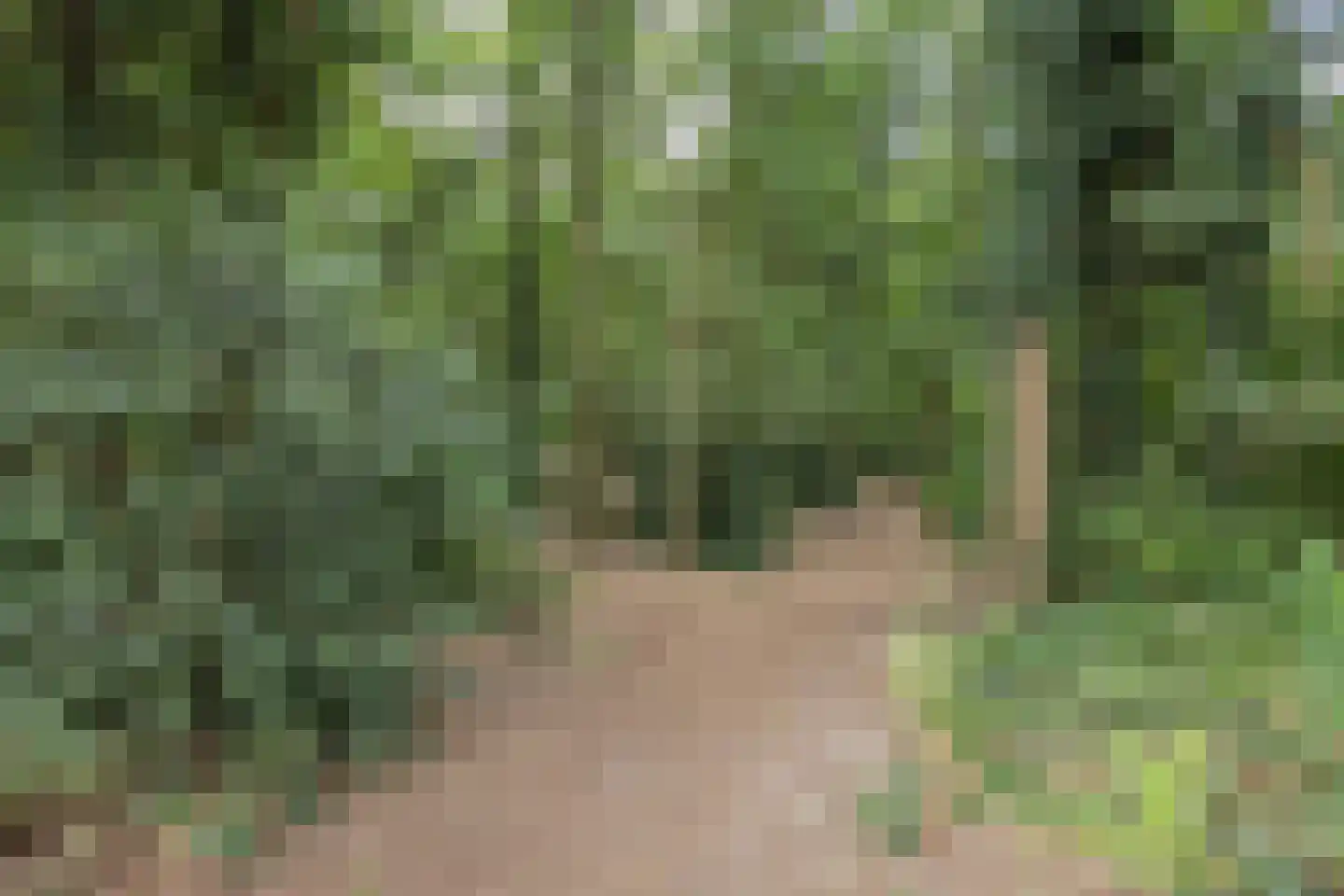 Deken van der Cammenweg 20 Heesch thumbnail 45