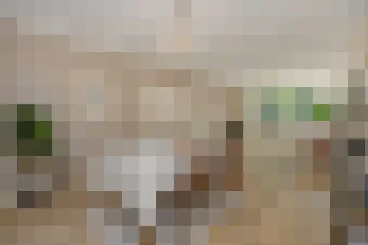 Deken van der Cammenweg 48 Heesch thumbnail 11
