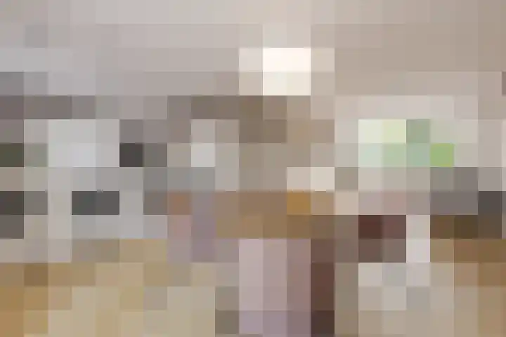 Deken van der Cammenweg 48 Heesch thumbnail 12
