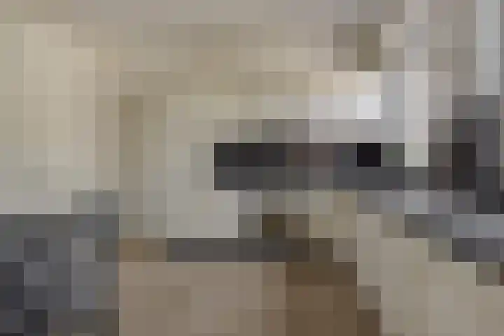 Deken van der Cammenweg 48 Heesch thumbnail 13