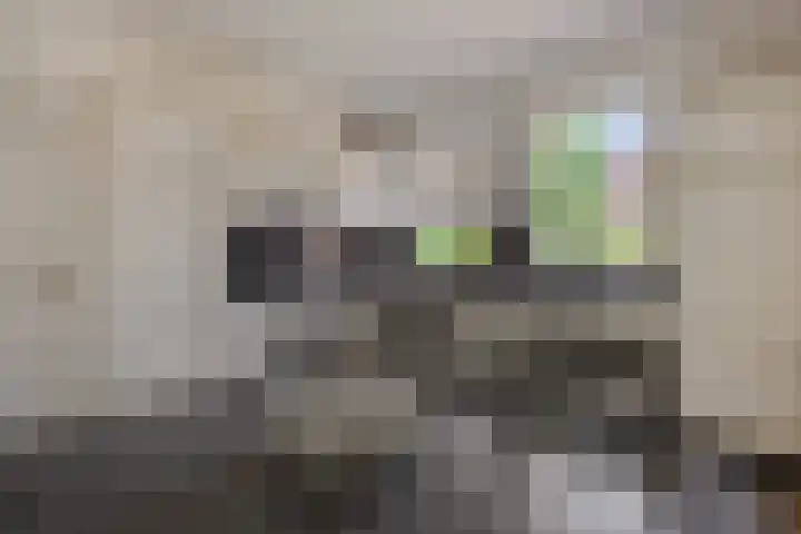 Deken van der Cammenweg 48 Heesch thumbnail 14
