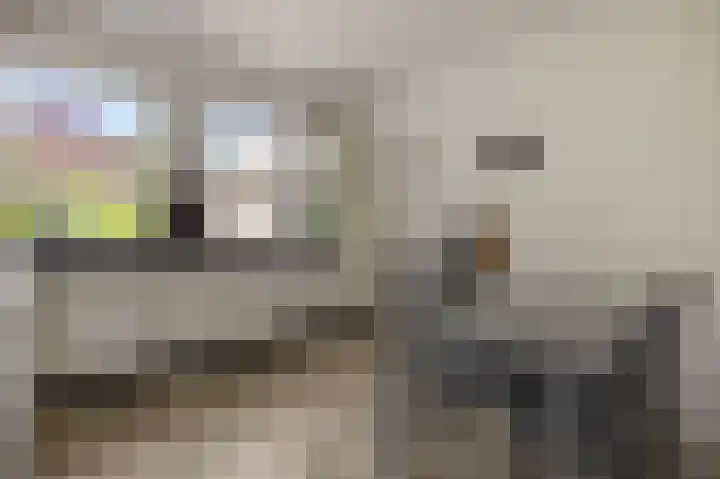 Deken van der Cammenweg 48 Heesch thumbnail 15