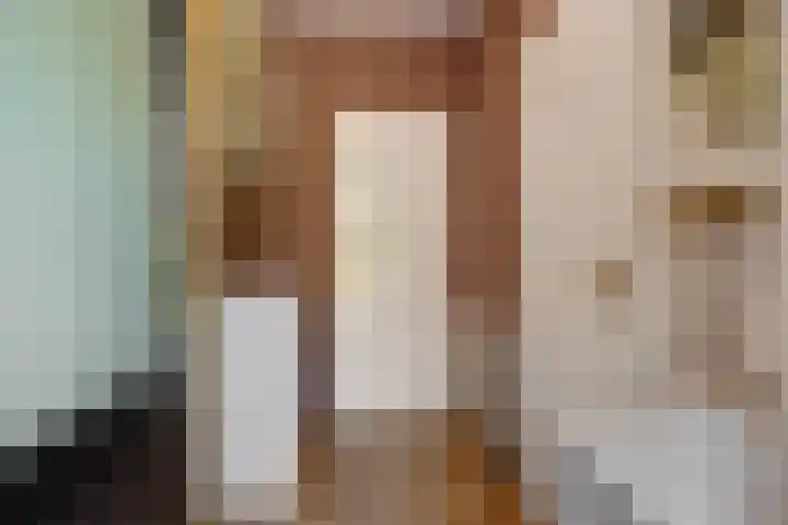 Deken van der Cammenweg 48 Heesch thumbnail 16