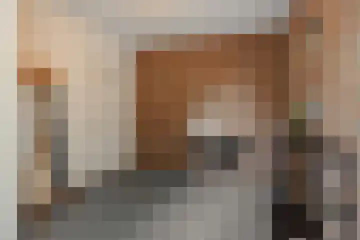 Deken van der Cammenweg 48 Heesch thumbnail 20