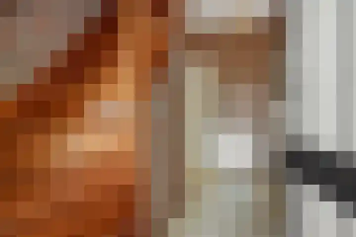 Deken van der Cammenweg 48 Heesch thumbnail 21
