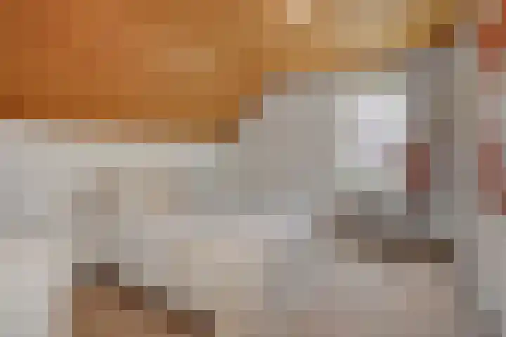 Deken van der Cammenweg 48 Heesch thumbnail 23