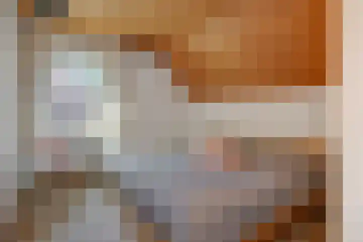 Deken van der Cammenweg 48 Heesch thumbnail 25