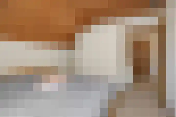 Deken van der Cammenweg 48 Heesch thumbnail 26