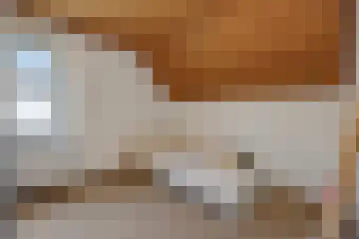 Deken van der Cammenweg 48 Heesch thumbnail 27