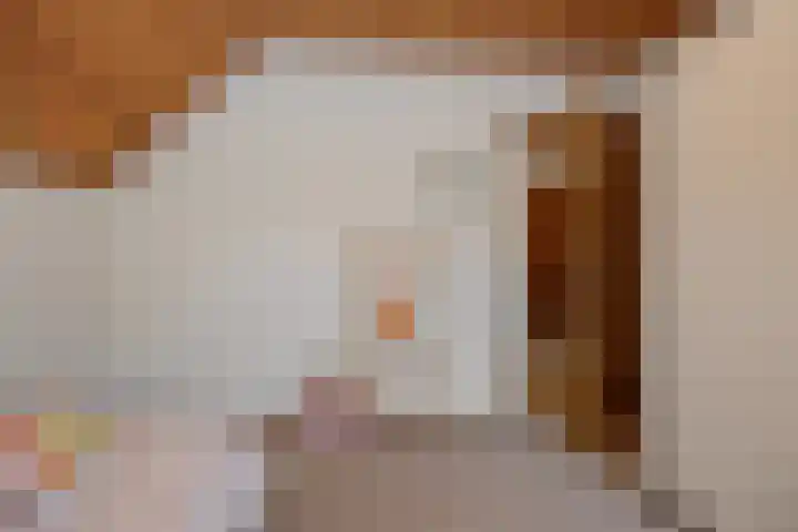 Deken van der Cammenweg 48 Heesch thumbnail 28