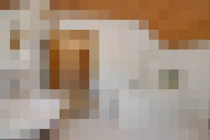 Deken van der Cammenweg 48 Heesch thumbnail 30