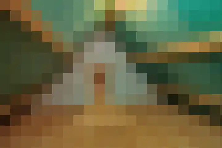 Deken van der Cammenweg 48 Heesch thumbnail 31