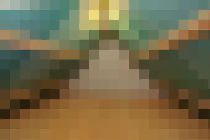 Deken van der Cammenweg 48 Heesch thumbnail 32