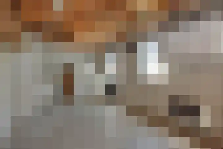 Deken van der Cammenweg 48 Heesch thumbnail 33